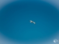 MS7_9780 MS7_9780