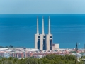 MS7_9787 MS7_9787