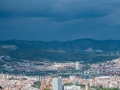 MS7_9799 MS7_9799