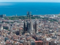 MS7_9809 MS7_9809
