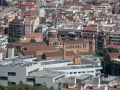 MS7_9825 MS7_9825