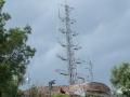 MS7_9831 MS7_9831