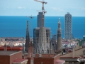 MS7_9836 MS7_9836