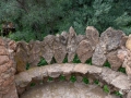 MS7_9851 MS7_9851