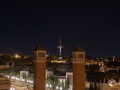 MS7_9895 MS7_9895