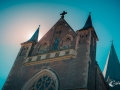 MS7_0219 MS7_0219