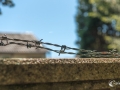 MS7_0238 MS7_0238