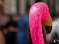 MS7_2762 MS7_2762