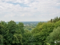 MS7_3248
