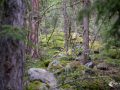 Felsen im Wlad Felsen im Wlad