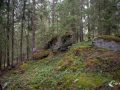 Fels im Wald Fels im Wald