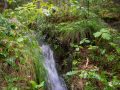 Wasserrinne Wasserrinne