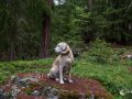 Und da hinten ist auch was Und da hinten ist auch was