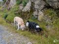 Hier ist es spannend Hier ist es spannend