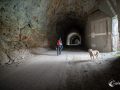 Tunnel Tunnel
