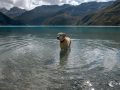 Schnitzel im Lac de Moiry Schnitzel im Lac de Moiry