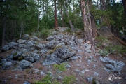 Felsen im Wald