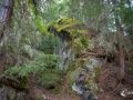 Feld und Moos Feld und Moos