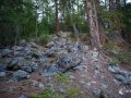 Felsen im Wald Felsen im Wald