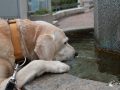 Wasser! Wasser!