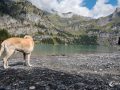 Geht es schon weiter? Geht es schon weiter?