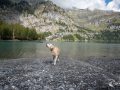 Freude pur Freude pur