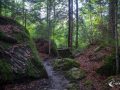 Im Wald am Blausee Im Wald am Blausee