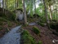 Im Wald am Blausee Im Wald am Blausee