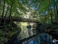 Blausee Blausee