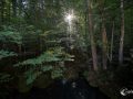 Blausee Blausee