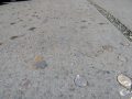 Geld liegt in der Straße Geld liegt in der Straße