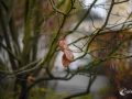 Herbst Herbst