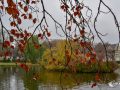 Weiher Odenkirchen Weiher Odenkirchen