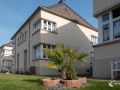 Palme in der Webersiedlung