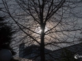 Sonnenlicht
