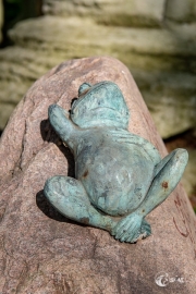 Frosch auf dem Stein