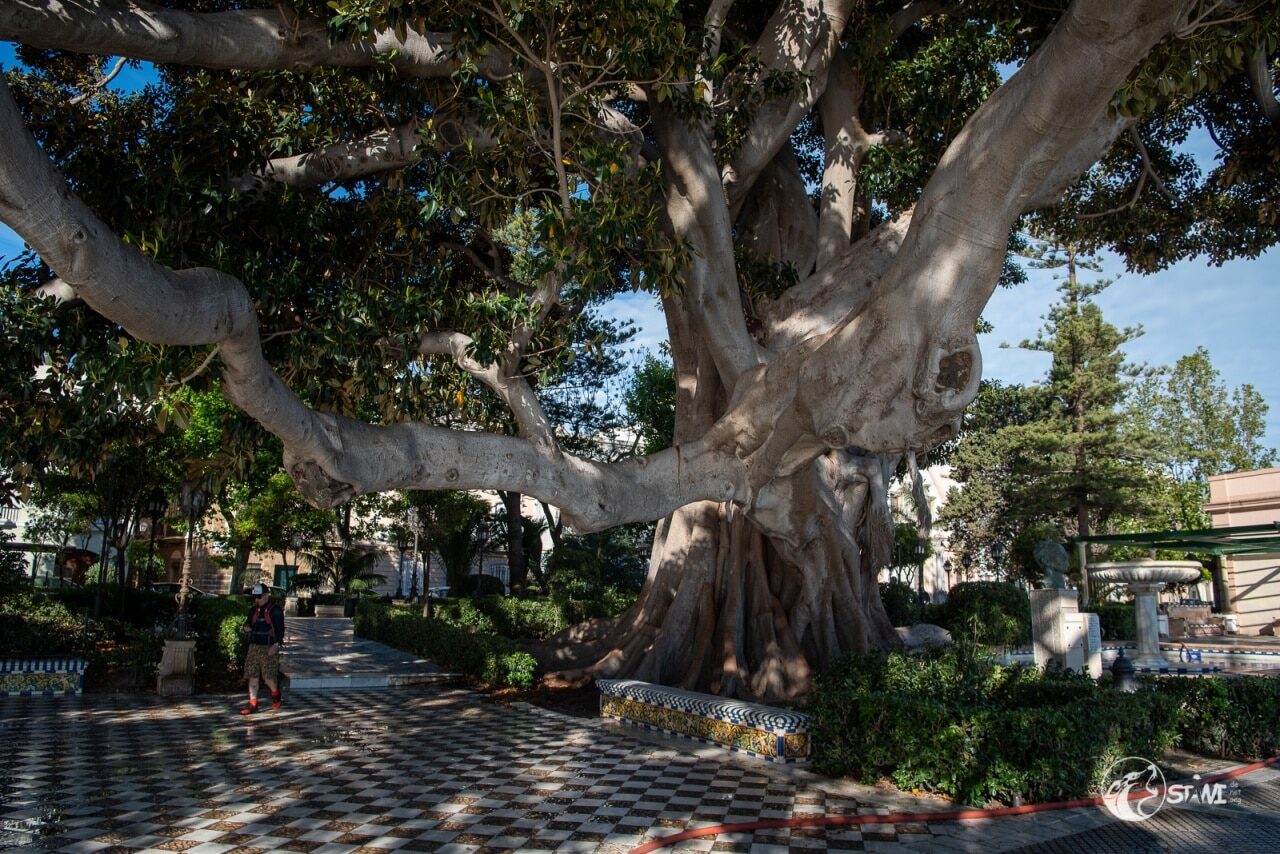 Jardines de Alameda Apodaca
