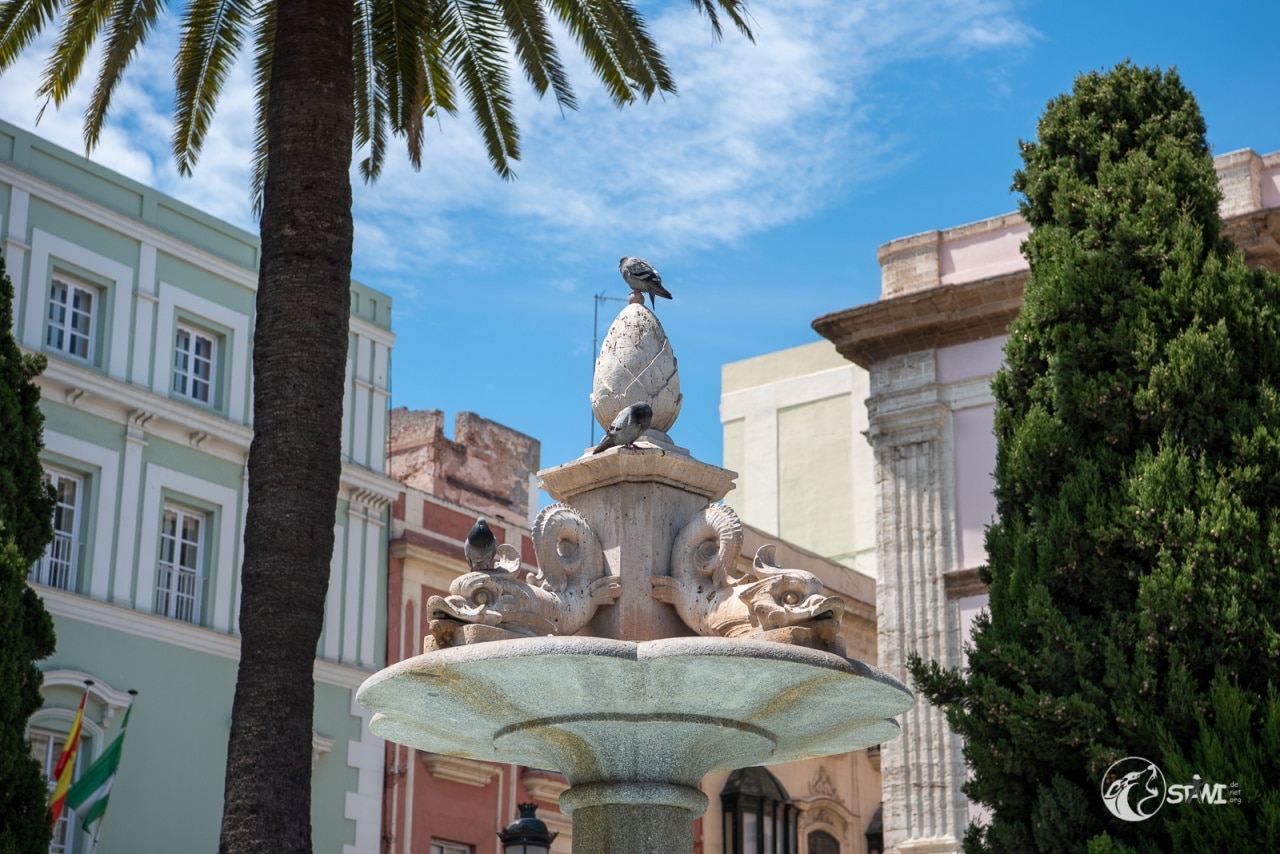 Tauben auf einem Brunnen