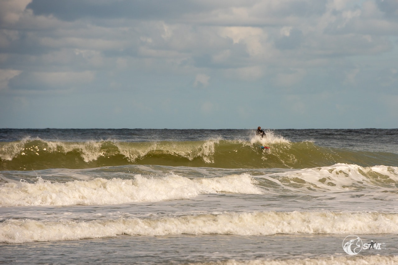 Surfer Surfer