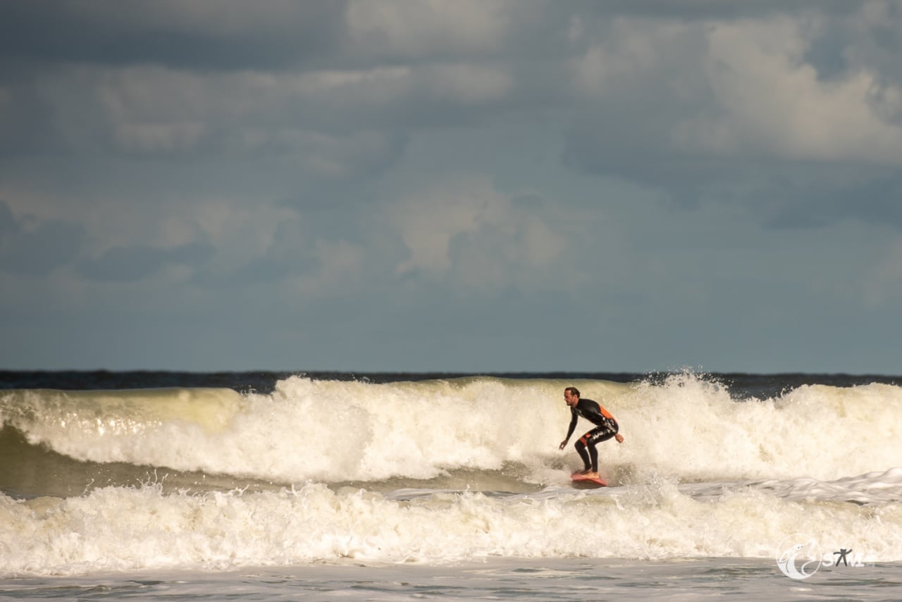 Surfer Surfer