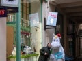 Happy Moomin & Sascha