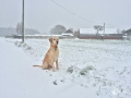 Winter Winter
