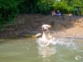 Rein ins Wasser Rein ins Wasser