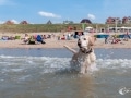 In der Nordsee In der Nordsee