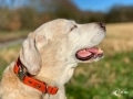 Nase im Wind Nase im Wind