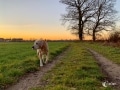 Morgenrunde Morgenrunde