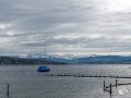 Züricher See Züricher See