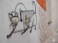 Miau Miau