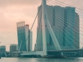 MS1_1219 MS1_1219