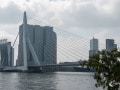 Blick auf die Erasmusbrug Blick auf die Erasmusbrug